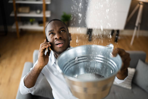 Best Local water damage restoration  in Dayton, KY