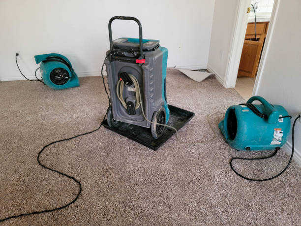 Best Professional water damage repair  in Dayton, KY
