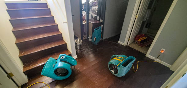 Best Flood restoration services  in Dayton, KY
