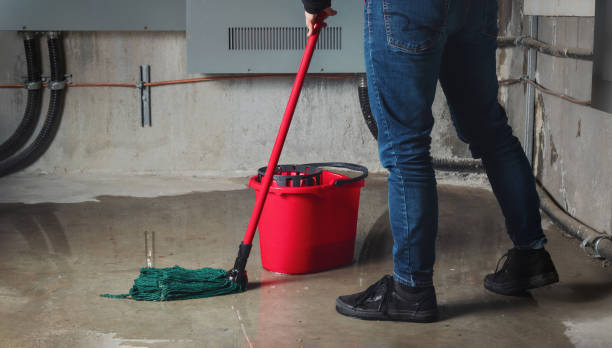 Best Water damage restoration near me  in Dayton, KY