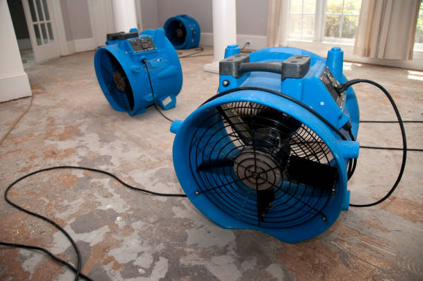 Reliable KY Water damage restoration Solutions
