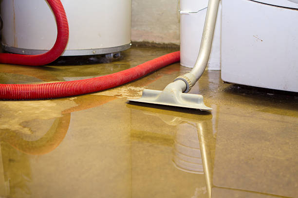 Best Emergency water damage restoration  in Dayton, KY