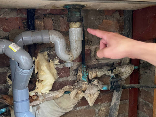 Best Sewage cleanup and water damage restoration  in Dayton, KY